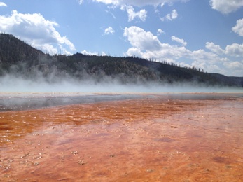 Yellowstone national park in wyoming